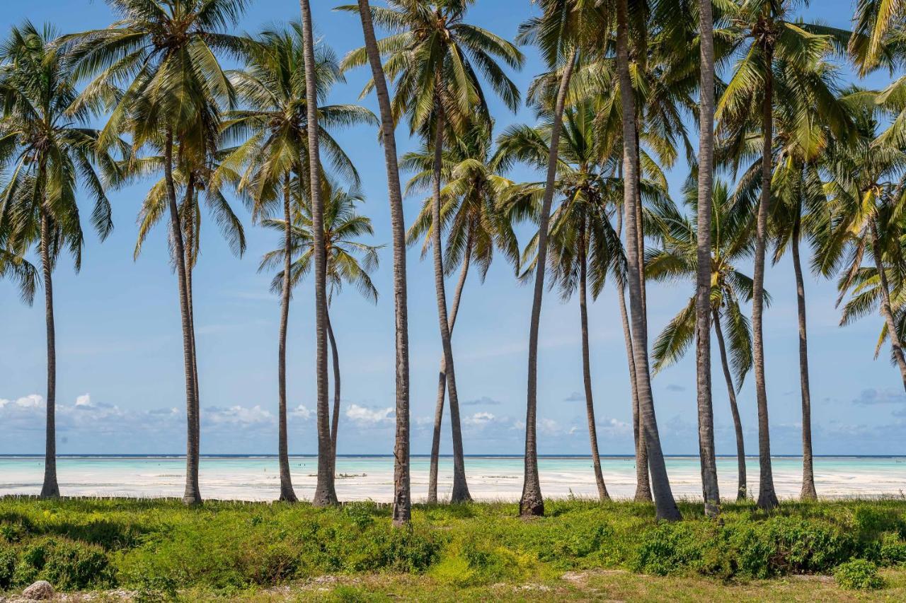 Tasneem Islamic Luxury Suites ジャンビアニ エクステリア 写真